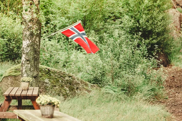 Noorse vlag en groene Picknick site — Stockfoto