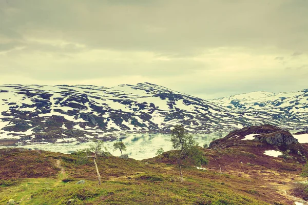 Noruega paisagem montanhosa cênica . — Fotografia de Stock