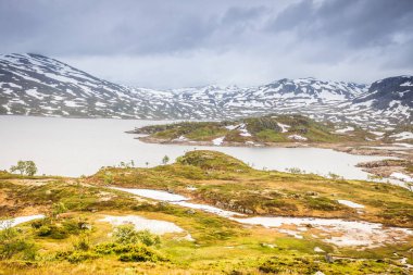 Hardangervidda'da dağın Yaylası Norveç'te