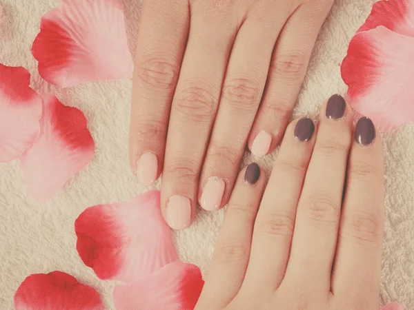 Mujer presentando su hermoso gel pintado uñas híbridas —  Fotos de Stock