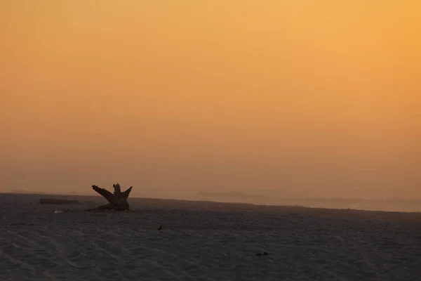 Alatt köd sunrise Beach — Stock Fotó