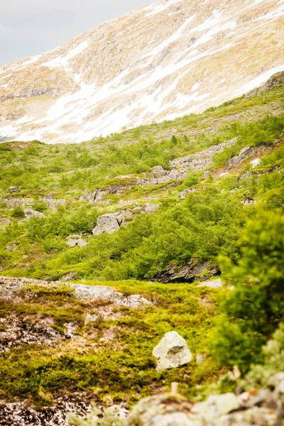 Montañas paisaje de verano en Noruega . —  Fotos de Stock