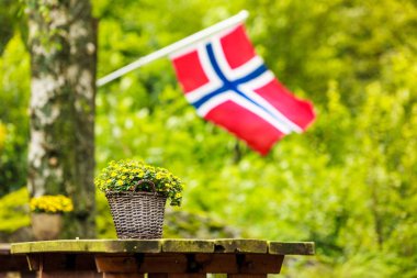 Norveç bayrağı ve yeşil piknik alanları