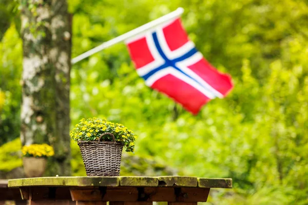 Norveç bayrağı ve yeşil piknik alanları