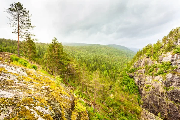 Hegyek nyári táj Norvégiában. — Stock Fotó