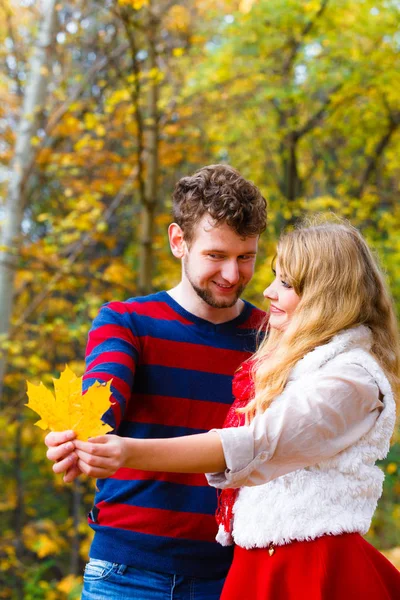 Para gra z liści w parku jesień — Zdjęcie stockowe