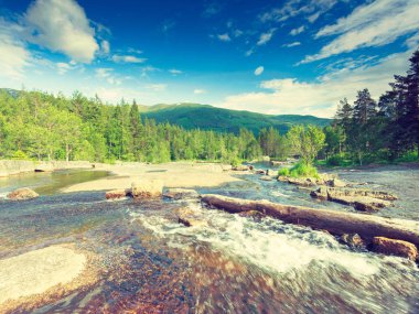 Yazın güzel dağ nehri manzarası