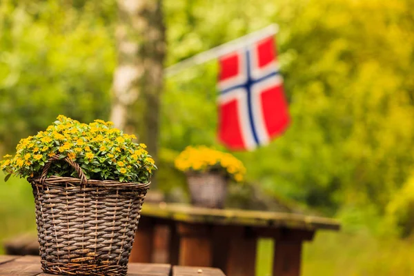 Flaga norweski i witryny zielony piknik — Zdjęcie stockowe