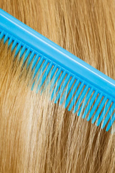 Primo piano di pettine blu nei capelli biondi . — Foto Stock