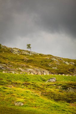 Yaz aylarında Haukeli dağlar