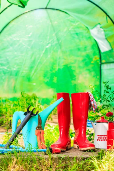 Інструменти садівництва на відкритому повітрі в саду — стокове фото
