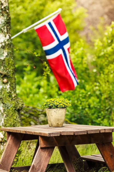 Norwegian flag and green picnic site — Stock Photo, Image