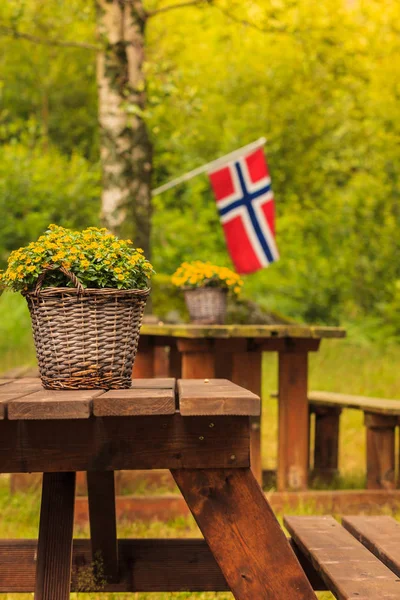 Norska flaggan och gröna picknick plats — Stockfoto