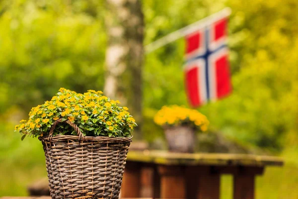 Bandera noruega y sitio de picnic verde — Foto de Stock