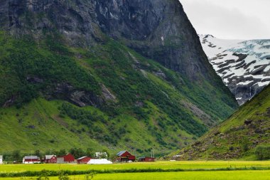 Dağlar yaz manzara Norveç'te.