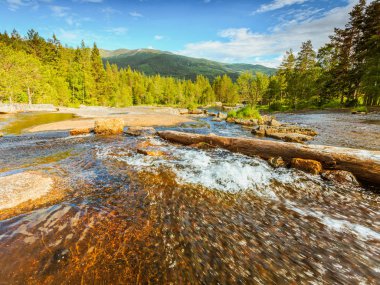 Yazın güzel dağ nehri manzarası