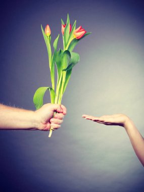 El Lale ve kopya alanı gösterilen palm.