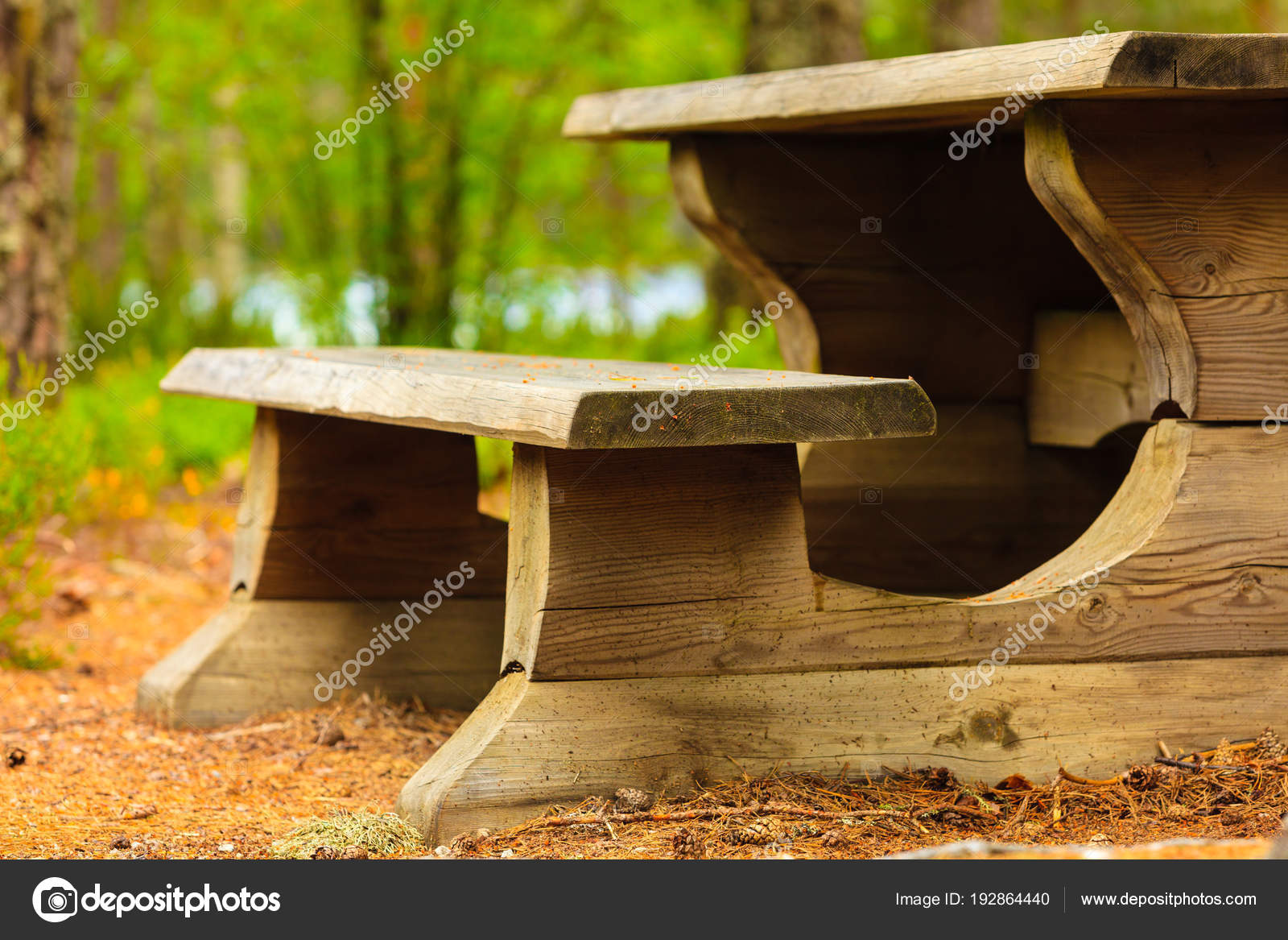 Camp Site With Picnic Table In Norwegian Park Stock Photo