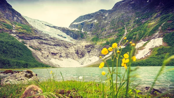 Льодовик Boyabreen і озеро в Норвегії — стокове фото