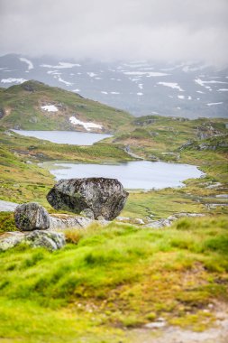 Hardangervidda'da dağın Yaylası Norveç'te