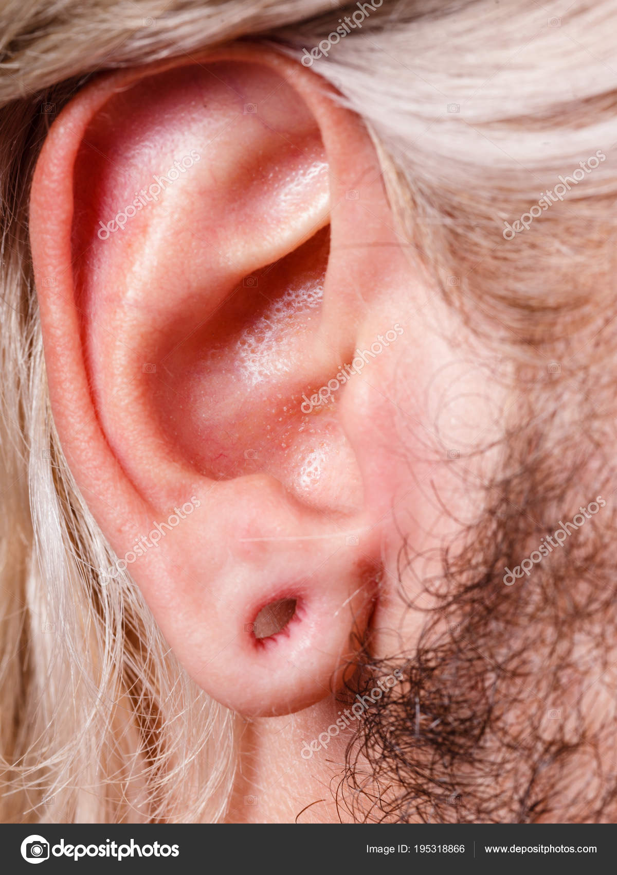 de begeleiding spiraal plaag Stretched man ear after tunnel piercing Stock Photo by ©Anetlanda 195318866 de begeleiding spiraal plaag Stretched man ear after tunnel piercing Stock Photo by ©Anetlanda 195318866