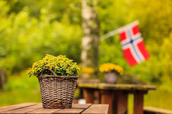 norwegian flag and green picnic site