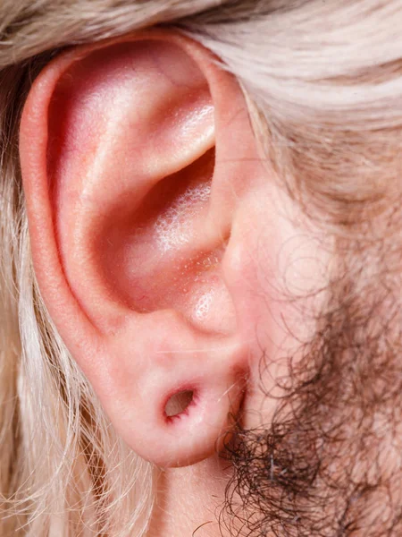 Homem esticado orelha após túnel piercing — Fotografia de Stock