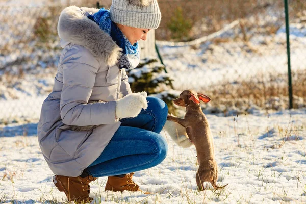 Жінка грає з собакою взимку — стокове фото
