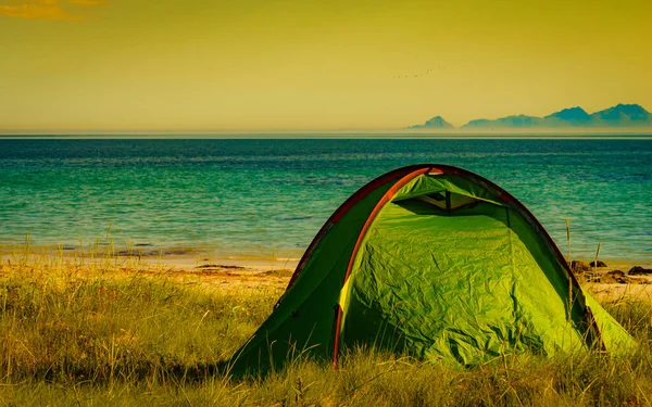 Lofoten 노르웨이 해변에 텐트와 바다 — 스톡 사진