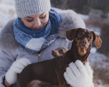 Köpeklerle kış aylarında oynayan kadın