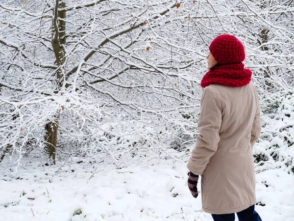 Kvinna promenad i vinter snöskog. — Stockfoto