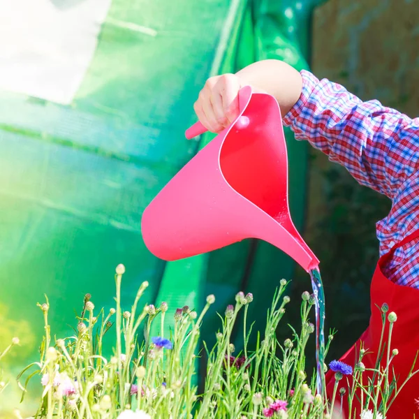 Frau gießt Pflanzen im Garten — Stockfoto