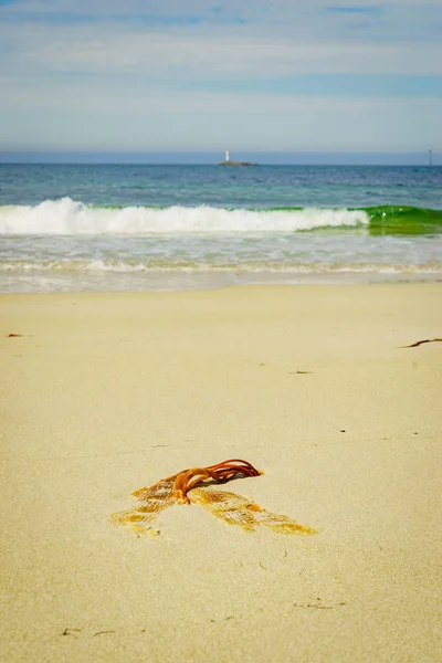 Seascape sandig strand med fyren på horisonten — Stockfoto