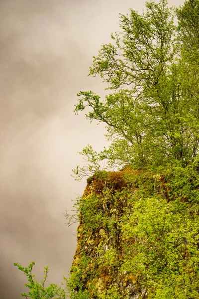 Mistige Misty landschap groene natuur in Noorwegen — Stockfoto