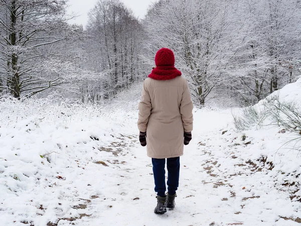 Γυναίκα περπατάει στο χειμερινό δάσος του χιονιού. — Φωτογραφία Αρχείου