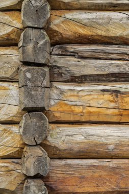 Kırsal kütük evi duvarı