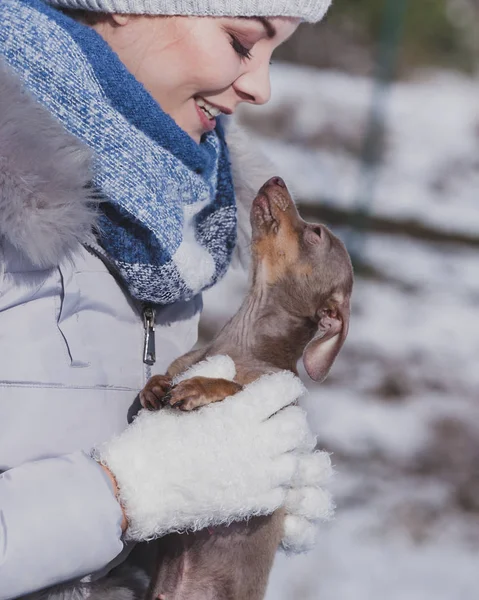 Mujer jugando con perro durante el invierno —  Fotos de Stock