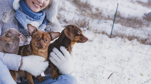 Woman playing with dogs during winter — Stock Photo, Image