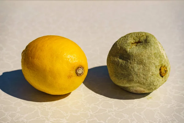 Gesunde und faule Zitronenfrüchte — Stockfoto