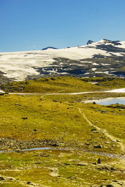 Montagnes avec glacier de glace. Road Sognefjellet, Norvège — Photo