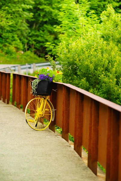 Bicicleta com flores decoração, Noruega — Fotografia de Stock