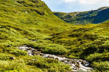 Dağlarda nehir deresi, Norveç.