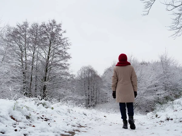 Γυναίκα περπατάει στο χειμερινό δάσος του χιονιού. — Φωτογραφία Αρχείου