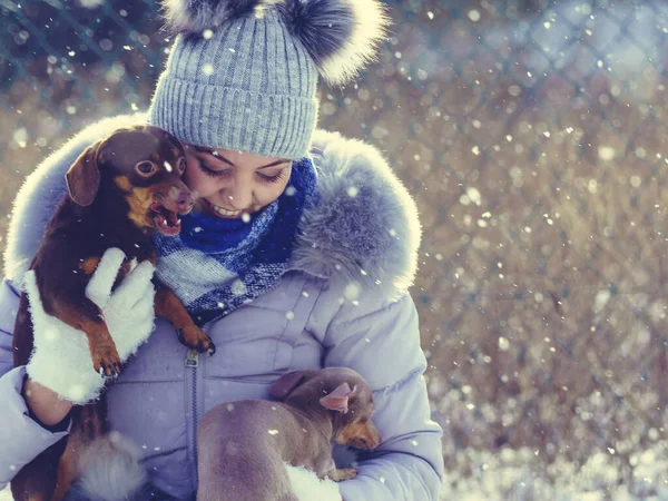 Mulher brincando com cães durante o inverno — Fotografia de Stock