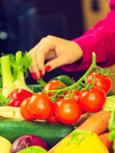 Vele gezonde kleurrijke groenten — Stockfoto