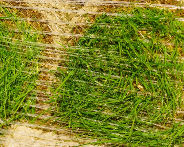 Stosy sod rolki na nowy trawnik — Zdjęcie stockowe
