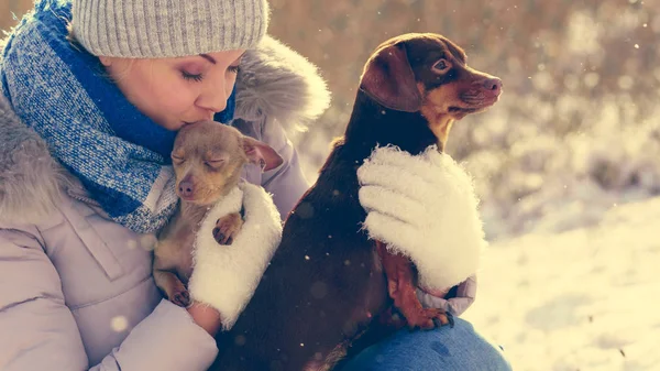 Mulher brincando com cães durante o inverno — Fotografia de Stock