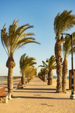 Walking path area at San Pedro del Pinatar, Spain