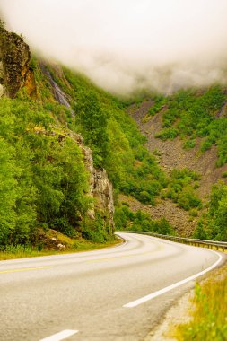 Yeşil dağlardan geçen yol. Norveç yaz manzarası.