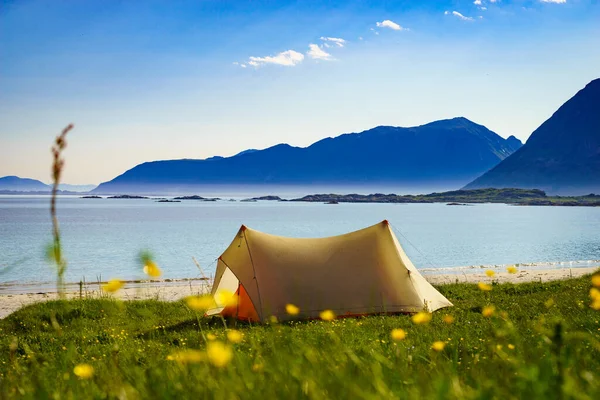 Tent Beach Seashore Summer Camping Ocean Shore Lofoten Archipelago Norway — Stock Photo, Image